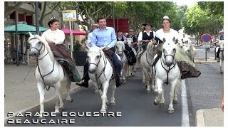 Parade Equestre Beaucaire 02-07-2015