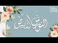 زفة النورس الأبيض 2019 زفة النورس الأبيض 2019