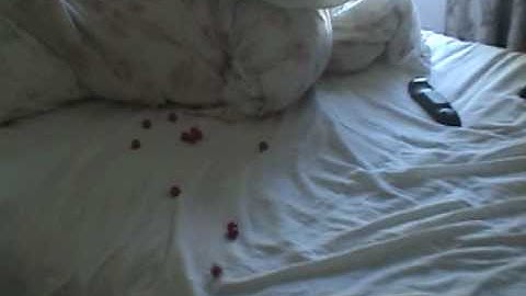 Proto SLG 09 Shooting Reballs Eyes On Semi