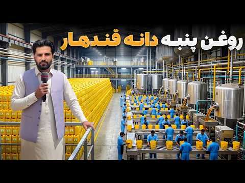 گزارش ویژه احسان همراز از بزرگترین فابریکه پروسس روغن پنبه دانه در قندهار