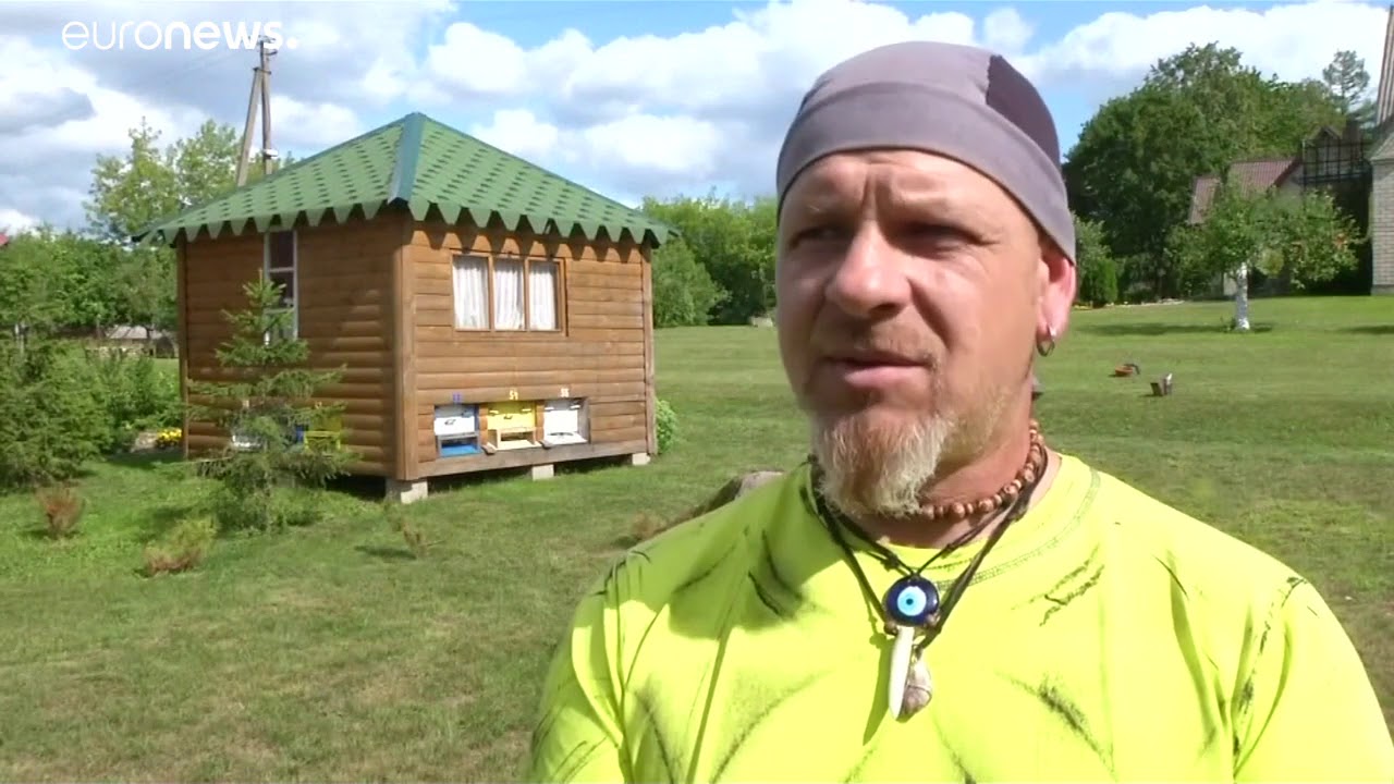 Лечение пчелиной энергией - YouTube