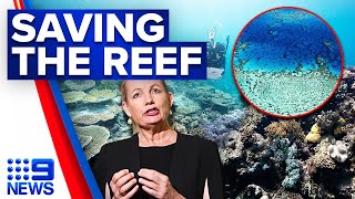 PM pledges 1 billion to help save Great Barrier Reef 9 News Australia