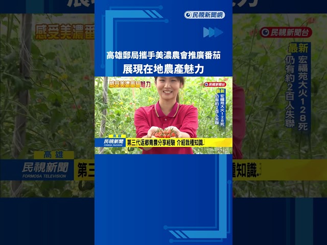 高雄郵局攜手美濃農會"推廣番茄" 展現在地農產魅力－民視新聞