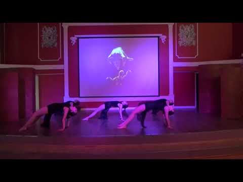 МБОУ СШ №31,