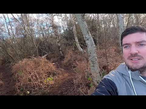 Walking in Holme Fen Nature Reserve, The UK's Lowest Point