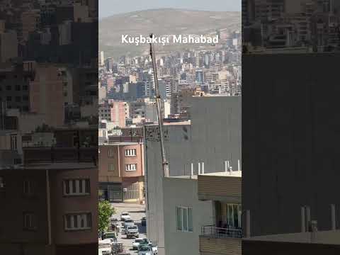 Kuşbakışı Mahabad/İran