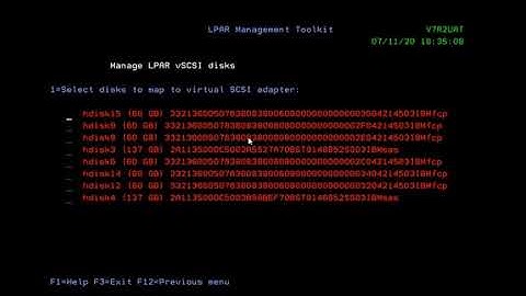 Managing virtual adapters and map vSCSI disk
