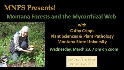 MNPS Presents! Montana Forests and the Mycorrhizal Web