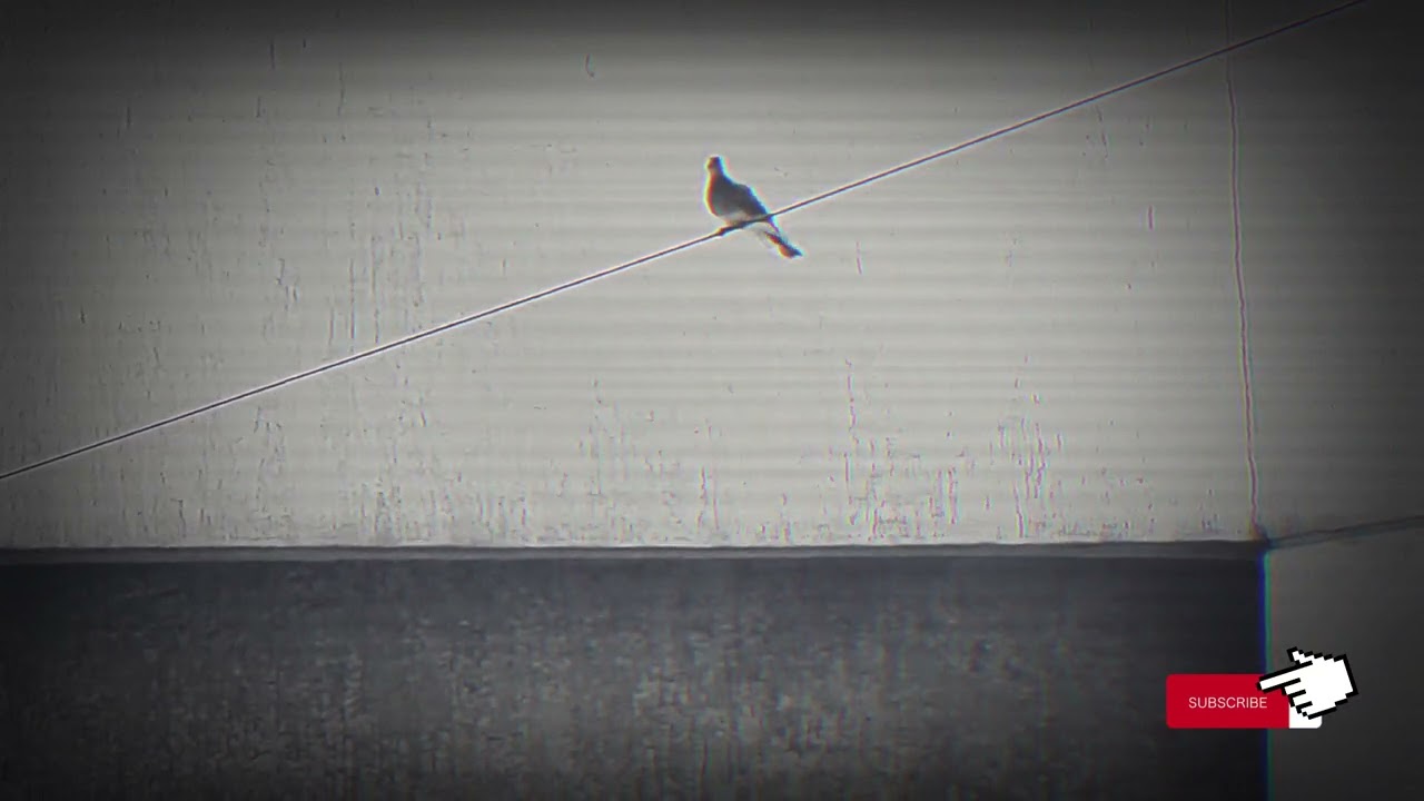 Fly high in life ( DAY 2)