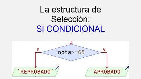 SI CONDICIONAL (Pseint)