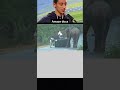 elephant funny voiceover video 🤣😂