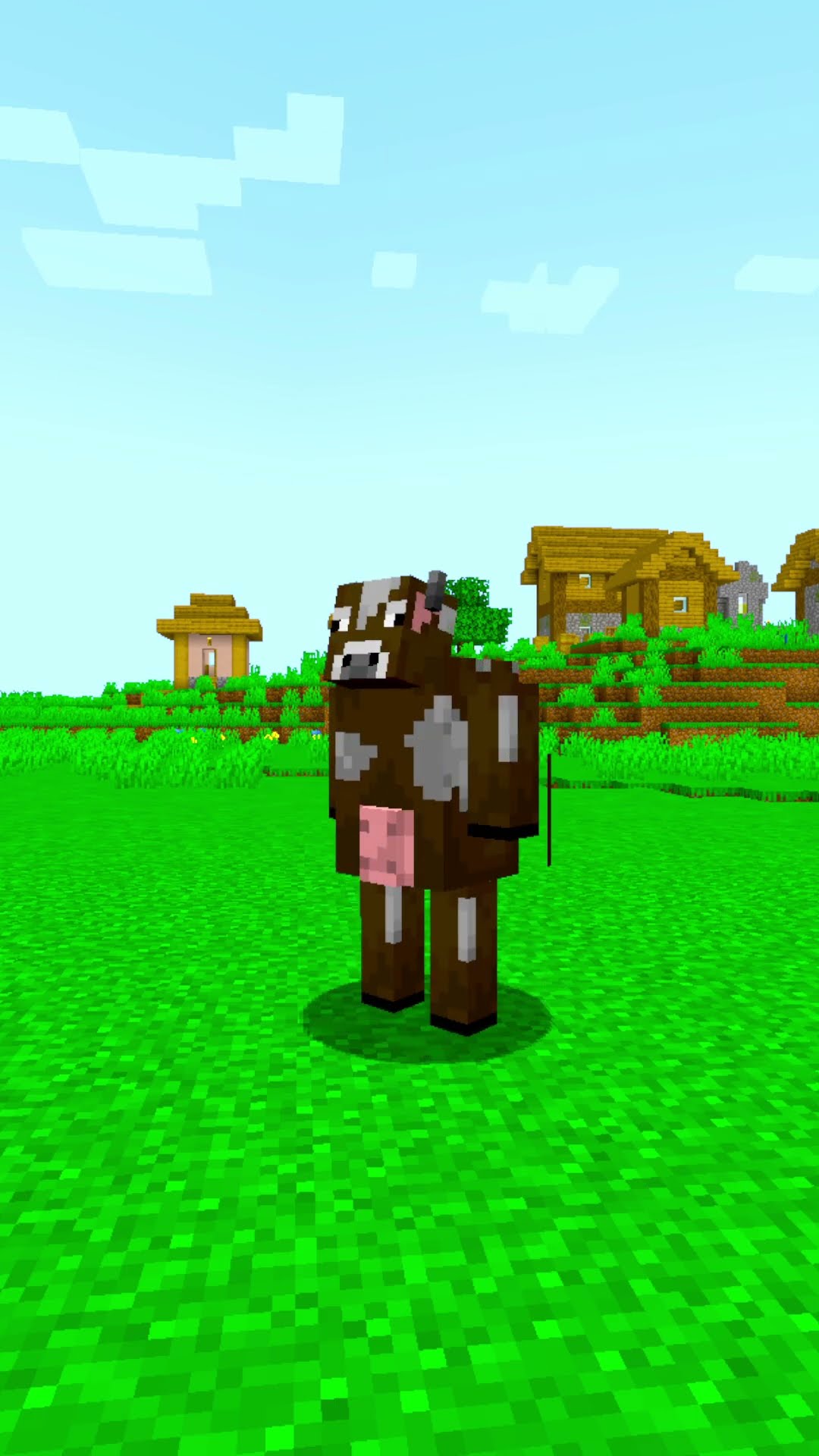 Minecraft in Ohio