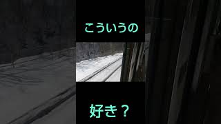 【雪 】上越線車窓#jr #鉄道 #train #新しい景色を2022