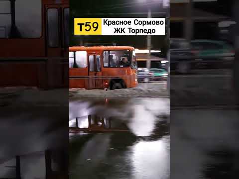 т59 маршрутка паз