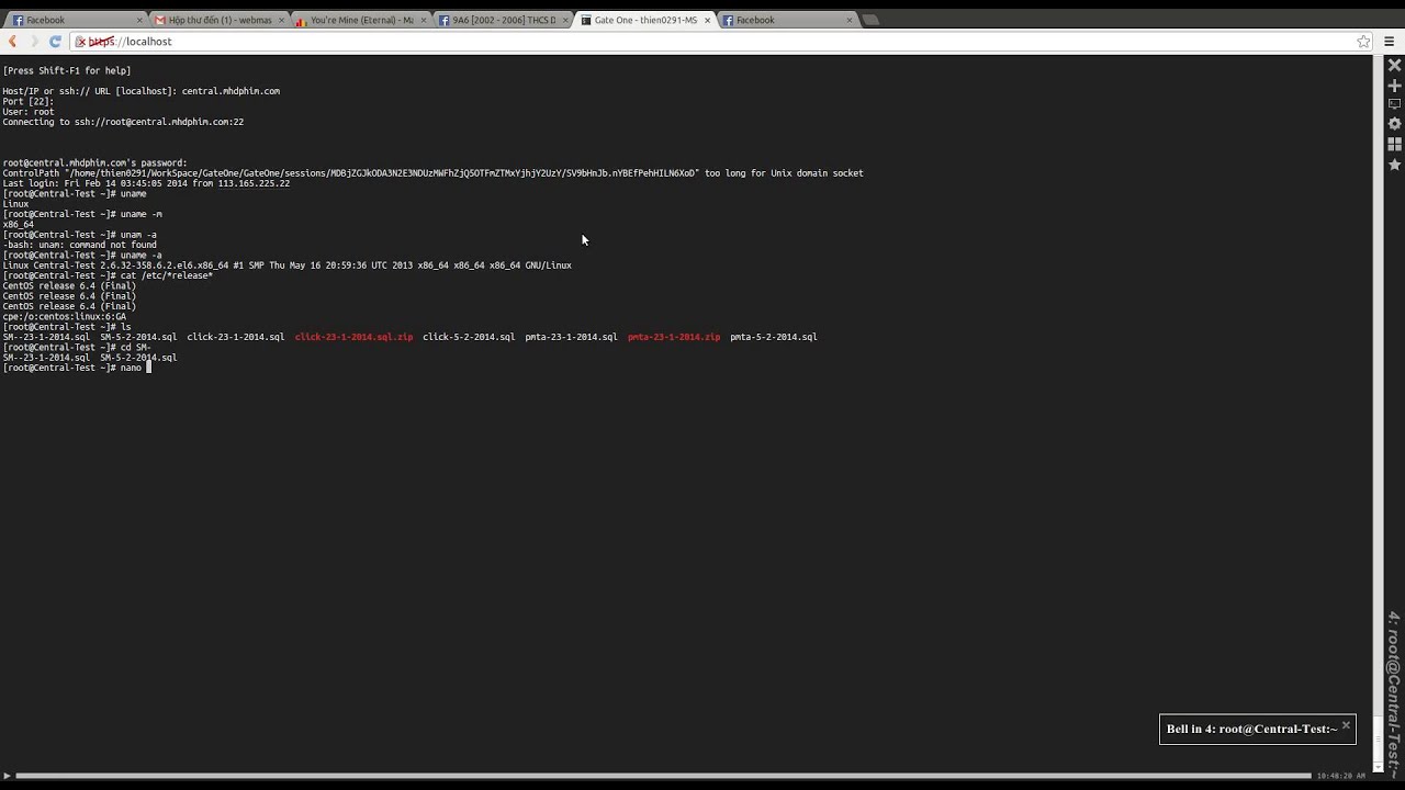Web base Terminal (SSH Web Service)
