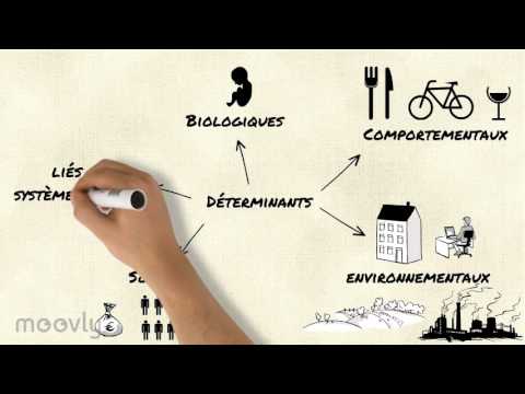 Vidéo: Mesures préventives : concept et portée