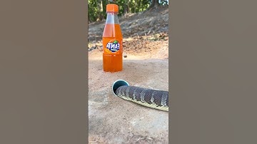 Easy Snake Trap Creative Method DIY Snake Trap Using Bottle Fanta That Work 100% #snaketrap #snake