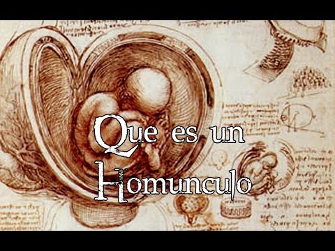 Vídeo: ¿Quién Es Un Homúnculo? - Vista Alternativa