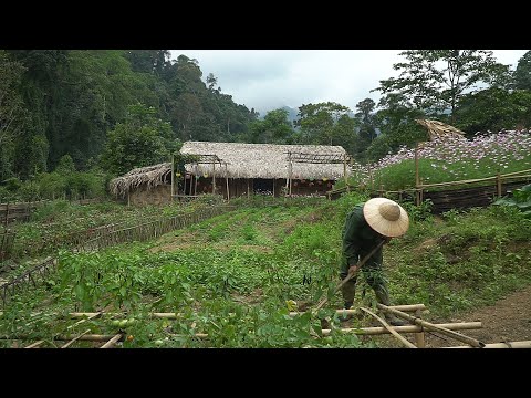 Gardening, Daily Work on the Farm | Single Life || EP.47