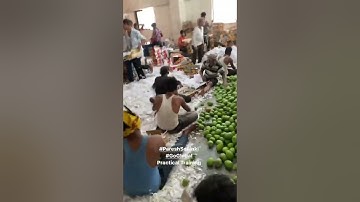 Live Export packing, Live container loading, Export import practical Training by Paresh Solanki