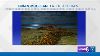 McClean Photography La Jolla Shores Beach, San Diego Bio Luminescence on CBS News 8