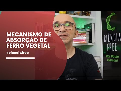 Absorção de Ferro