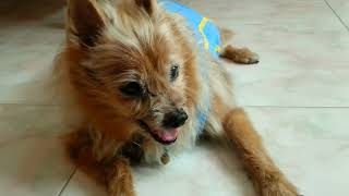 20130909 141918
