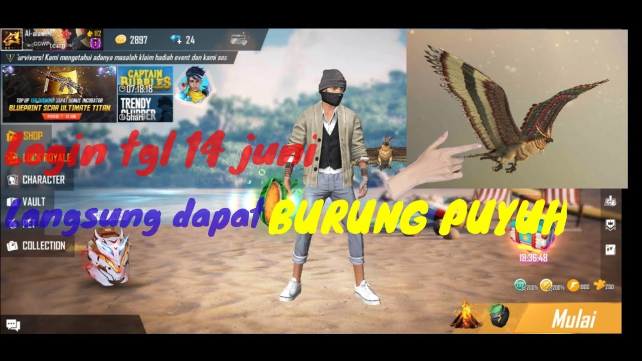 Ajak Burung PUYUH BOOYAHHHHH !!!! 