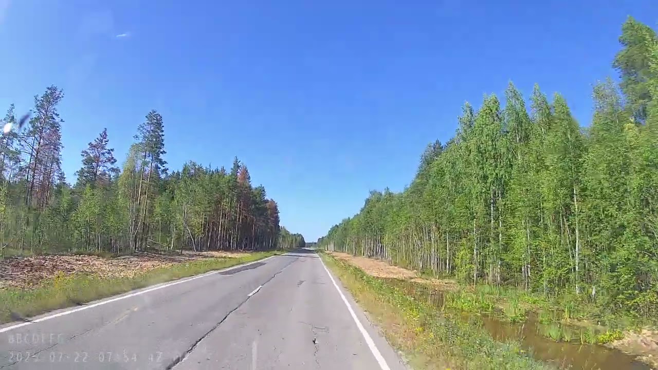 Поездка на Белое море в 2025 году. Часть 84. 2025 07 22 195233 00