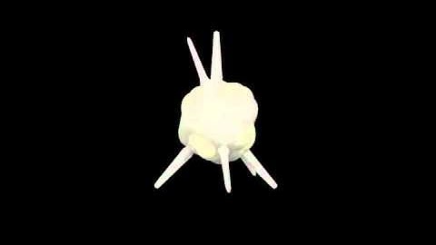 VideoSample for Steve Reich Eight Lines - Octet (1)