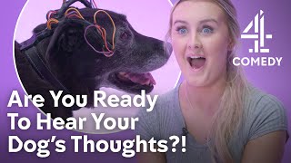 Is A Dog Translator This Year's MUST HAVE?! | Unreal Inventions | Channel 4 Comedy