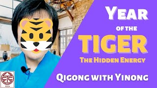 How to Handle the Hidden Energy in Year of the Tiger - Dr. Yinong Chong