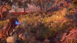 Horizon Forbidden West | İmpossible Jay Hunt ! | İnanılmaz Alakarga Kuş Avı ! screenshot 3