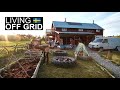 Becoming more self sufficient  life at the off grid cabin