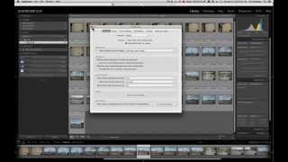 Lightroom Import Dialog - Setting Preferences Before You Start