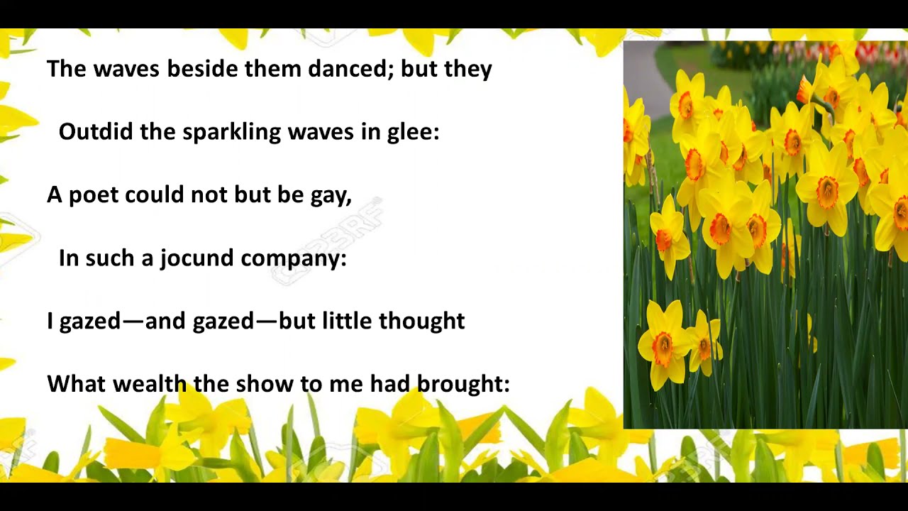 English Recitation Poem Daffodils By