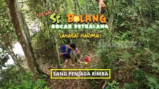 Download Lagu [FULL] Sang Penjaga Rimba | SI BOLANG (28/01/26) MP3