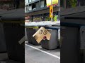 Calor # – arte urbano, street art short, urban art video