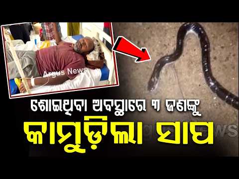 Uncle & Nephew Die Of Snake Bite At Bridge Construction Camp In Balangir | Argus News