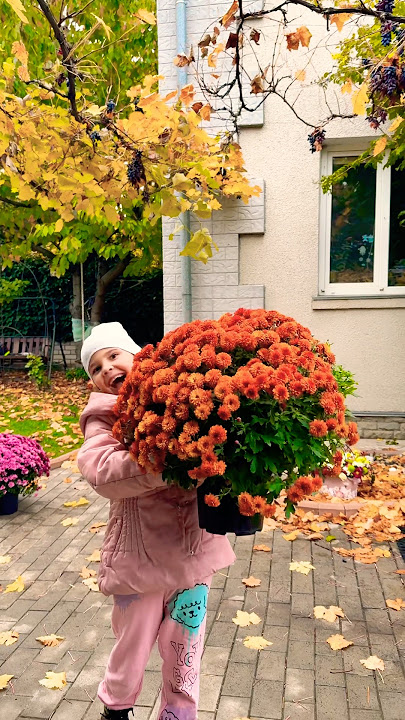 What did she take 😧🤩🌸🌺🌻#funny #cute #funnyfamily #shortvideos #shortviral