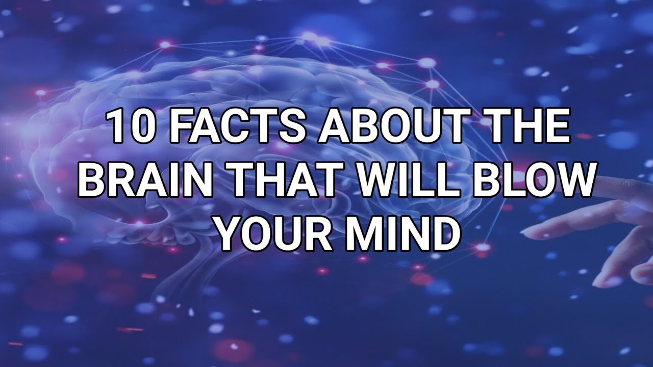 #10 facts about the brain that will blow your mind | #psychologyfacts ...
