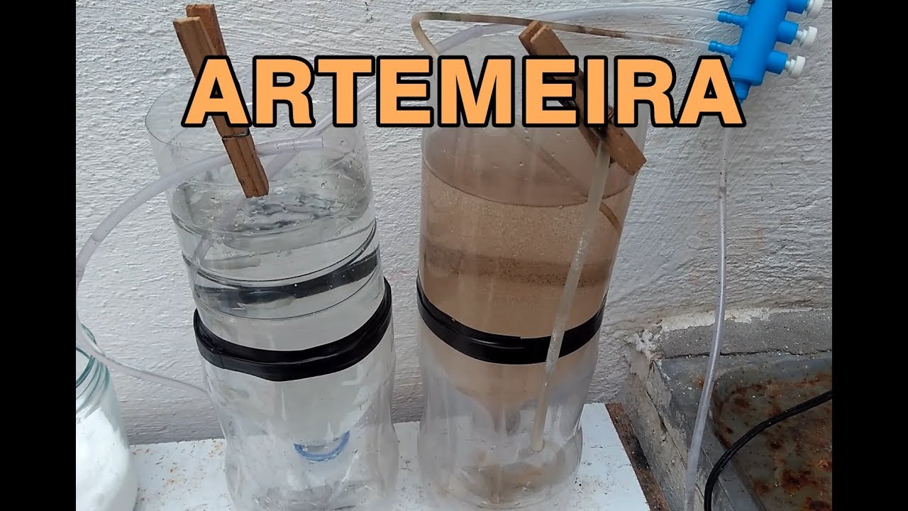 Como fazer ARTEMEIRA [Passo a Passo]. Aprenda a eclodir cisto de artêmia.