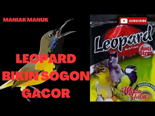 CARA MEMBUAT NEKTAR DARI BAHAN SUSU KENTAL MANIS DAN VOER LEOPARD BIKIN SOGON GACOR class=