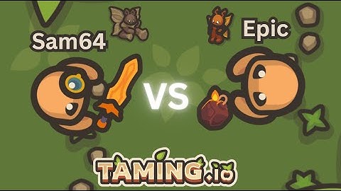 1v1 with Sam64, can I win? | Taming.io