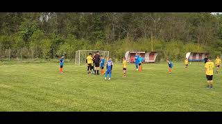 Young Boys 2013-2014