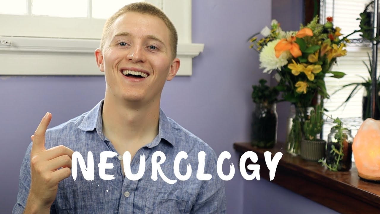 M3 Neurology Rotation: 3rd Year Medical Student Experience