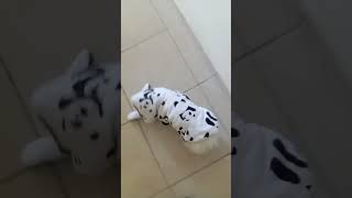 Evde Böyle Bir Şey Yürüyor Yaa Yicem