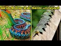 ലോകത്തിലെ വിചിത്രമായ പാമ്പുകൾ | Rarest snakes in the world Malayalam
