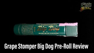 Grape Stomper Dogwalker Pre-Roll Review