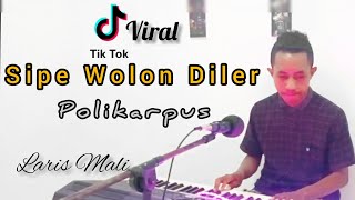 Download Lagu SIPE WOLON DILER (POLIKARPUS) Cover Version Ladis Mali MP3
